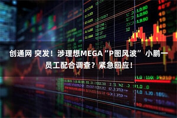 创通网 突发！涉理想MEGA“P图风波” 小鹏一员工配合调查？紧急回应！
