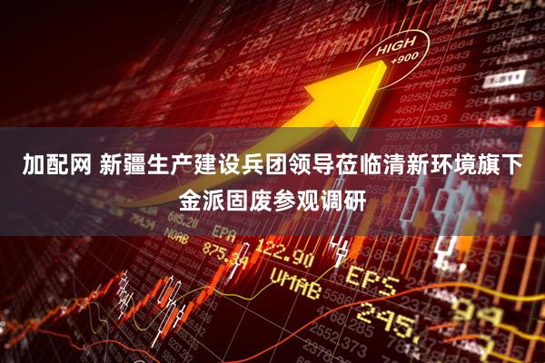 加配网 新疆生产建设兵团领导莅临清新环境旗下金派固废参观调研