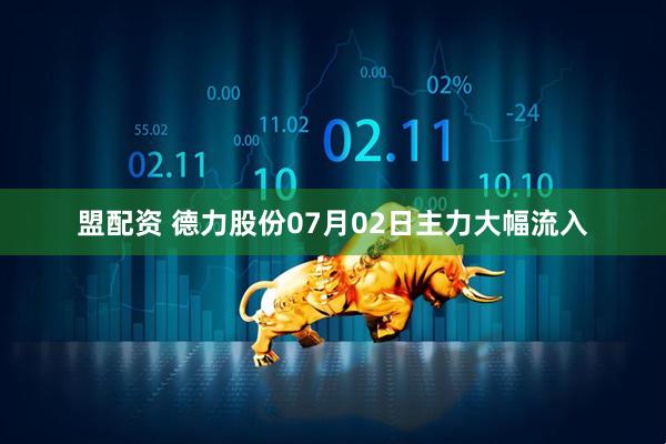 盟配资 德力股份07月02日主力大幅流入