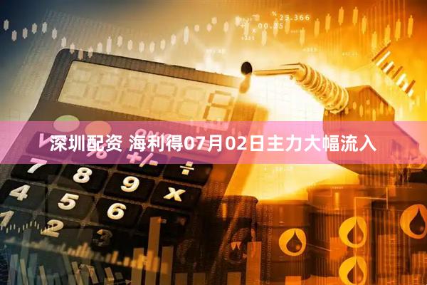 深圳配资 海利得07月02日主力大幅流入