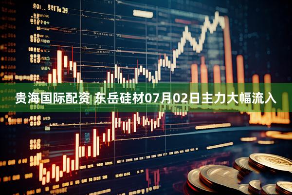 贵海国际配资 东岳硅材07月02日主力大幅流入