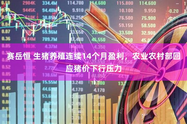 赛岳恒 生猪养殖连续14个月盈利，农业农村部回应猪价下行压力