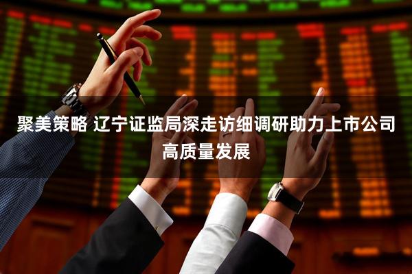 聚美策略 辽宁证监局深走访细调研助力上市公司高质量发展