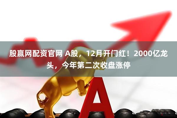 股赢网配资官网 A股,12月开门红!2000亿龙头,今年第二次收盘涨停