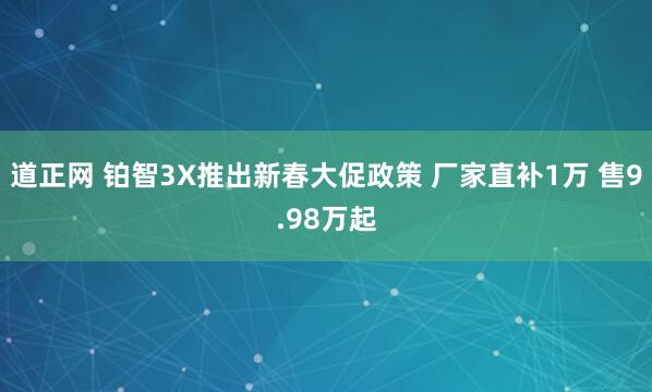 道正网 铂智3X推出新春大促政策 厂家直补1万 售9.98万起